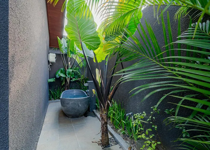 Villa Sierra Vista 2